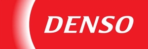 Форсунки Denso